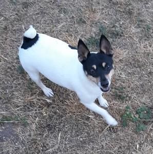 Meet your Posher, Alice